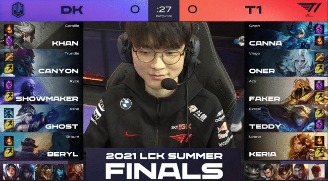 比目鱼肌的 比目鱼肌的