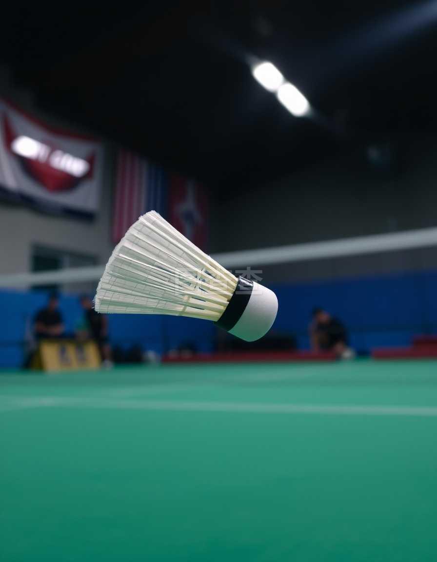 子水球的未 子水球的未