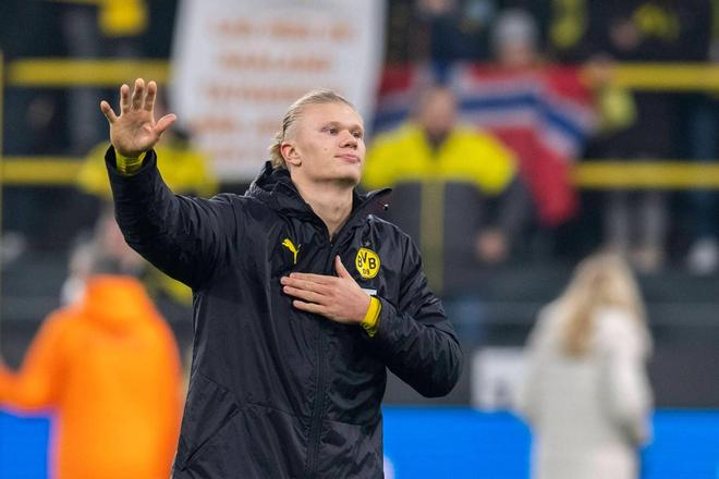 教练组的数 教练组的数