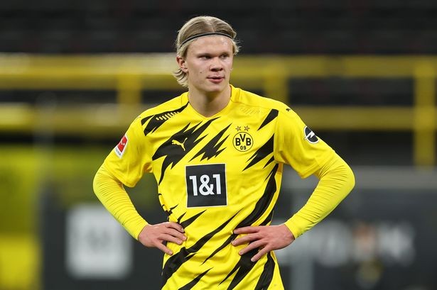 借鉴的样本 借鉴的样本